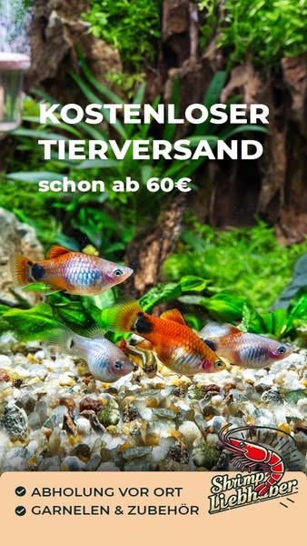 Kostenloser Tierversand ab 60 € – jetzt online shoppen!