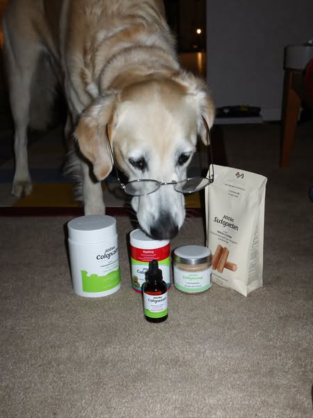 Top Liquid Collagen For Dogs