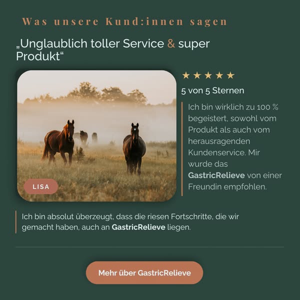 Jetzt den Unterschied entdecken