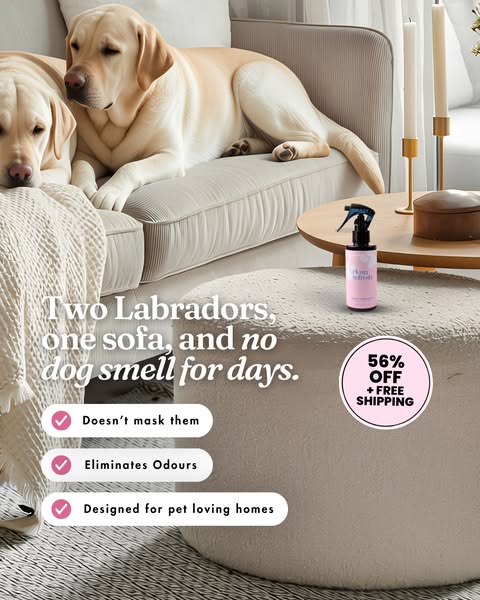 My secret to a smell free home