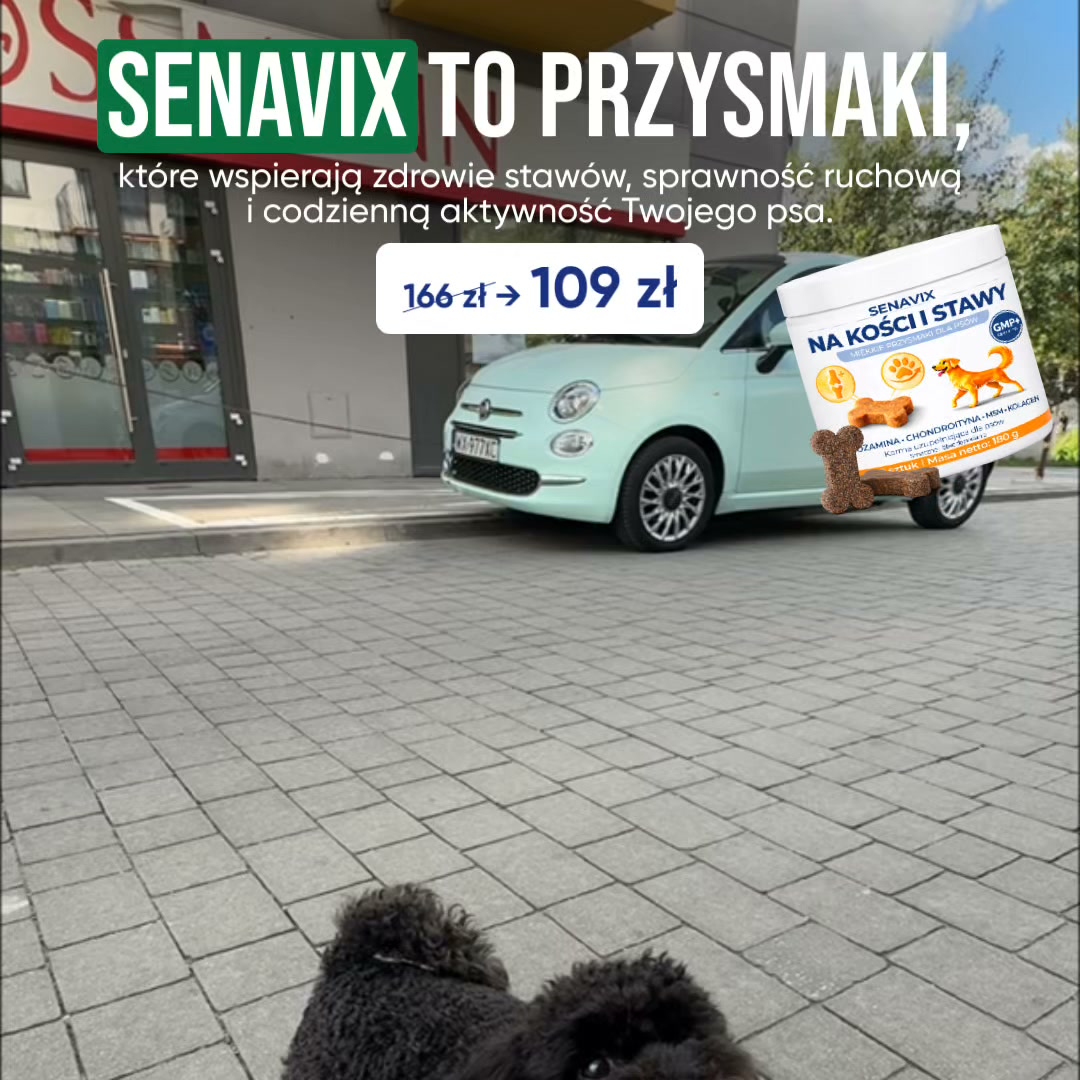 SENAVIX to funkcjonalne przysmaki