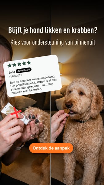 Jeuk bij je hond begint vaak van binnenuit