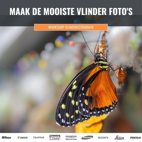 Samen vlinders leren fotograferen