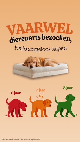 Nu 20% korting + 4 gratis cadeaus!