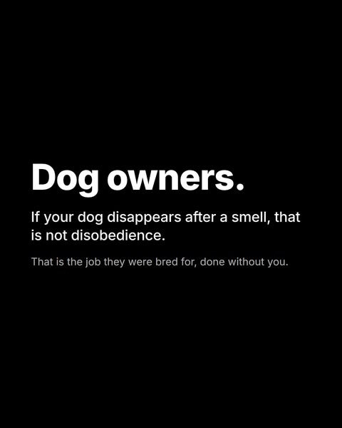 Discover your breed