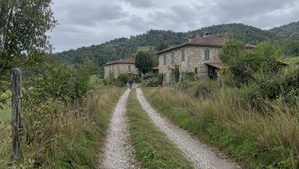 Torna a essere te stessa