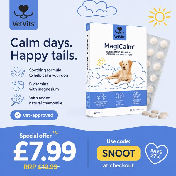 Vet-Formulated Calm for Your Canine | £7.99 Today!