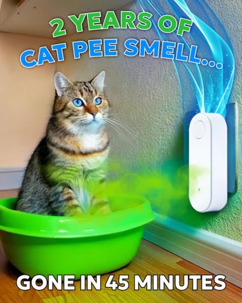 Cat Pee Smell Gone—Fast & For Good!