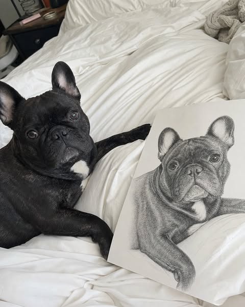 Limited time £6 only!
