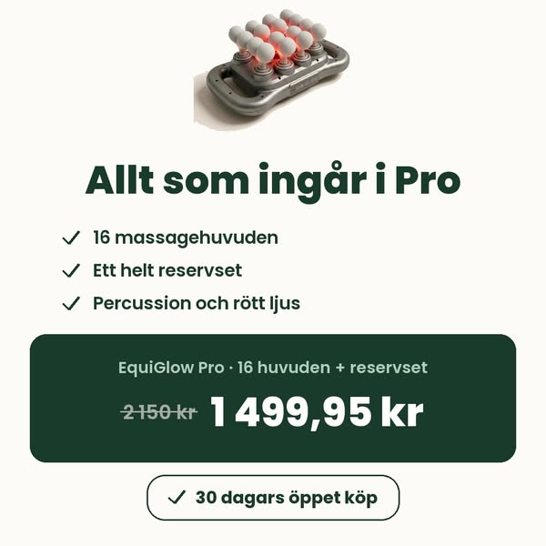 Allt som ingår i EquiGlow Pro