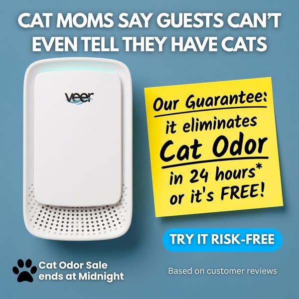 Get Rid of the Cat Pee Smell In Your Home (MUST READ)