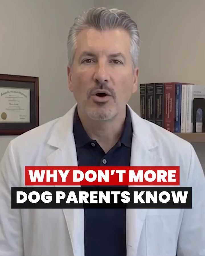 A Vet's 5-Second Ear Fix