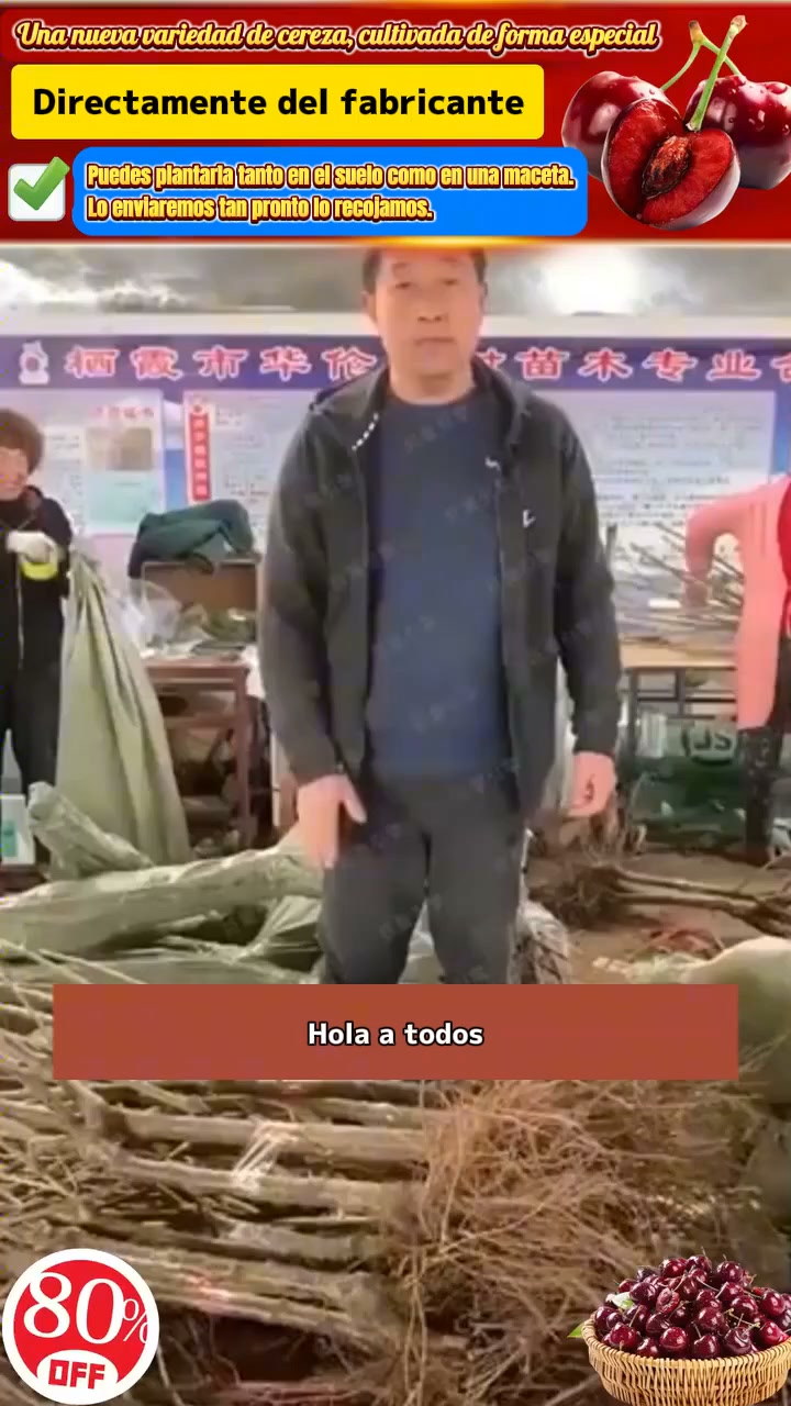 【HAZ CLIC AQUÍ Y PLANTA TU CEREZO ENANO EN ESTA TEMPORADA DE OTOÑO】