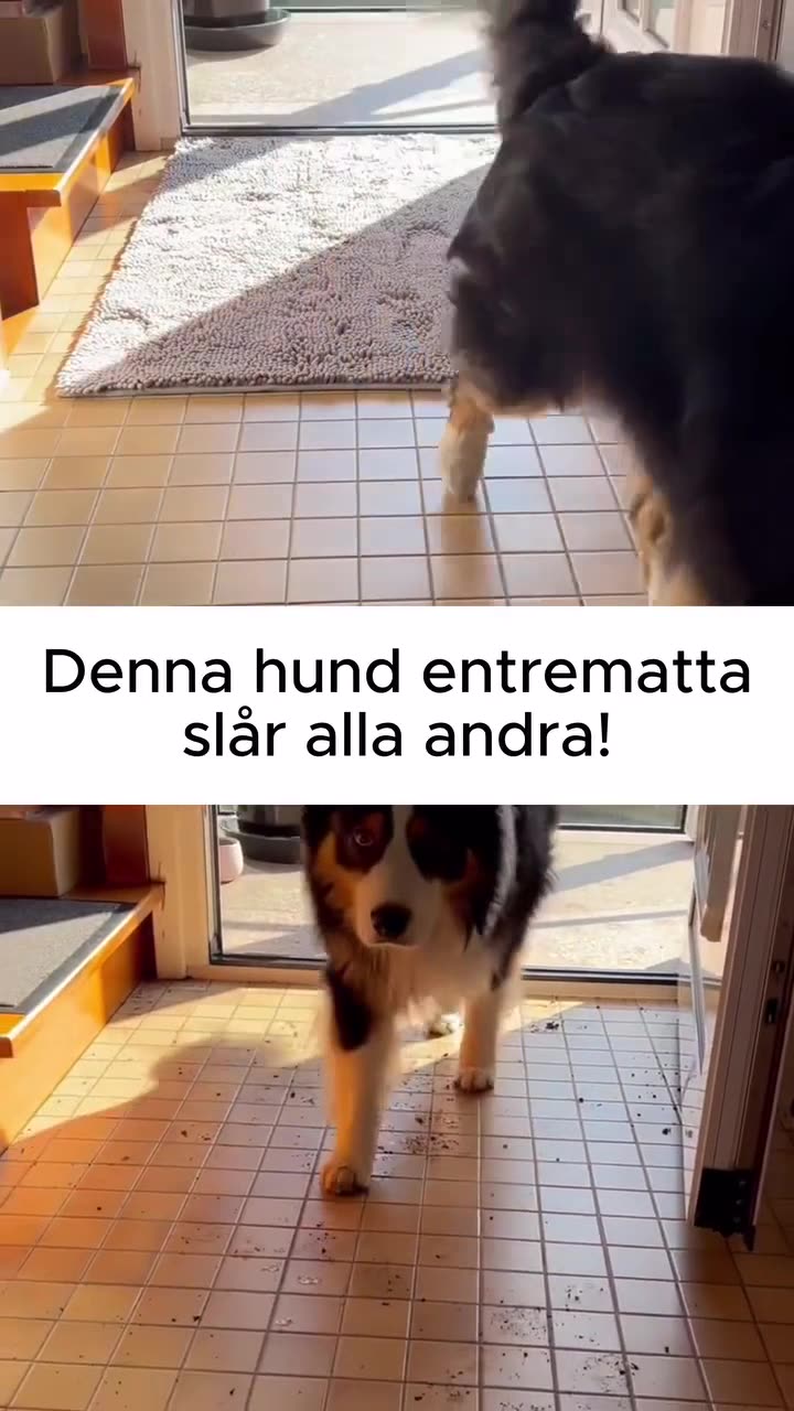 Slipp smuts hemmet