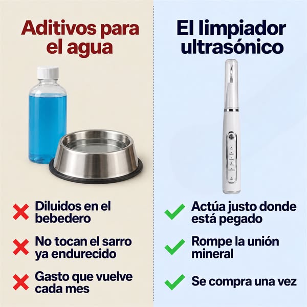 Limpieza dental en casa, sin anestesia