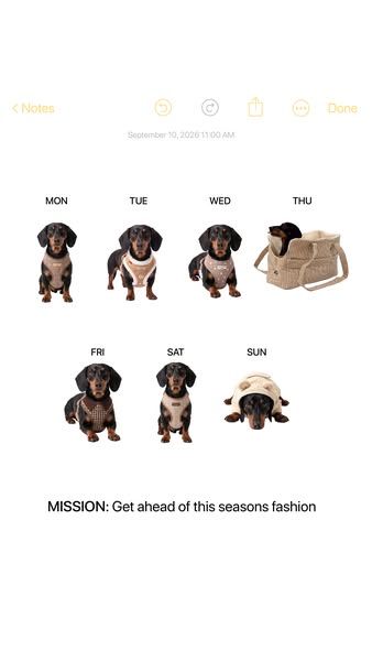 New Season. New Pup Fit.
