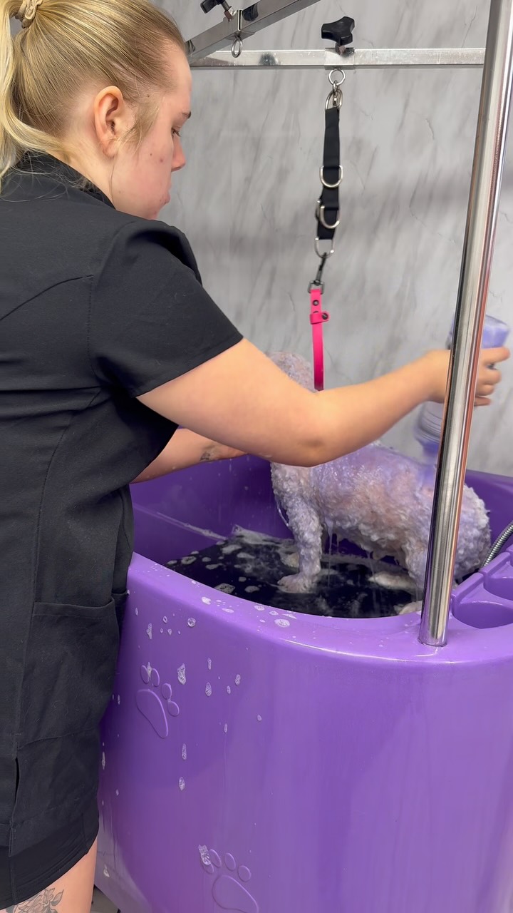 Anúncio de Bugalugs Pet Care