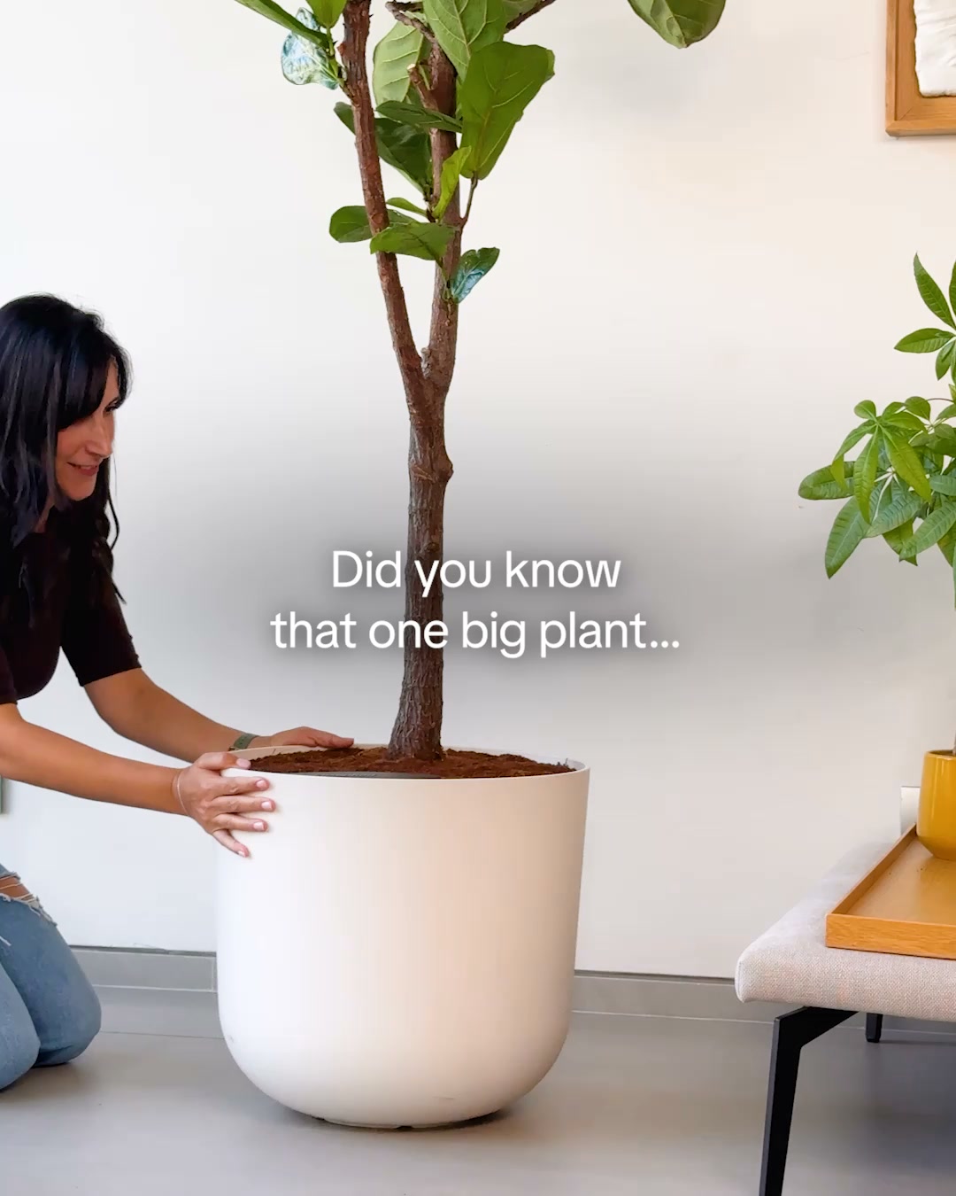 Try Self-Watering Plants