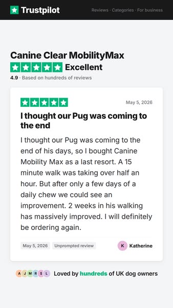 For the owner who has already tried everything
