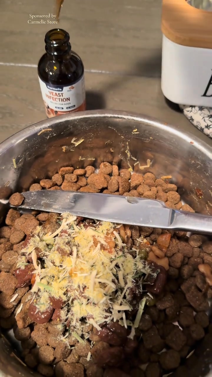 The Fastest Relief for Itchy, Smelly Dog Ears