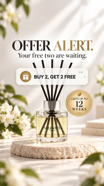 Buy 2, Get 2 FREE