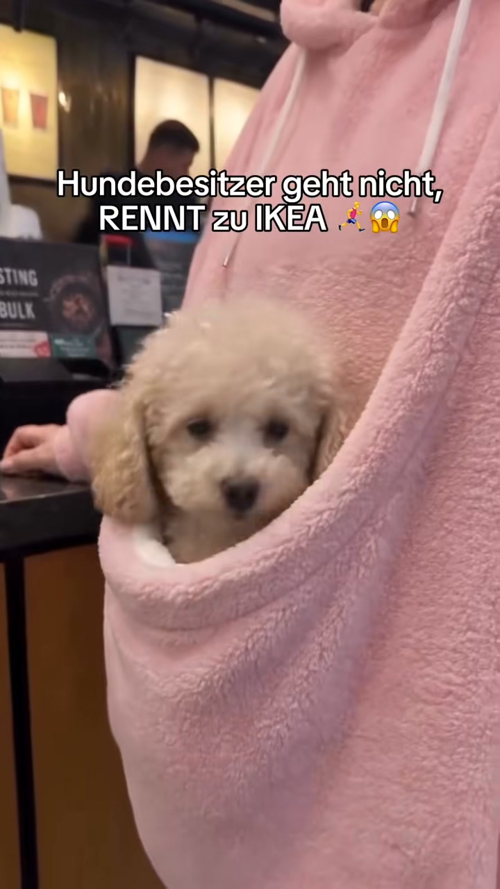 Dein Liebling ganz nah – mit dem Pet-Tragehoodie