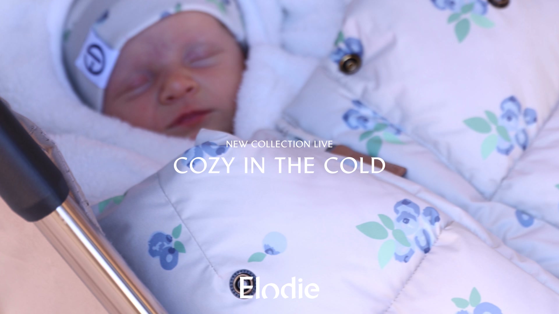 Now live: Cozy in the Cold