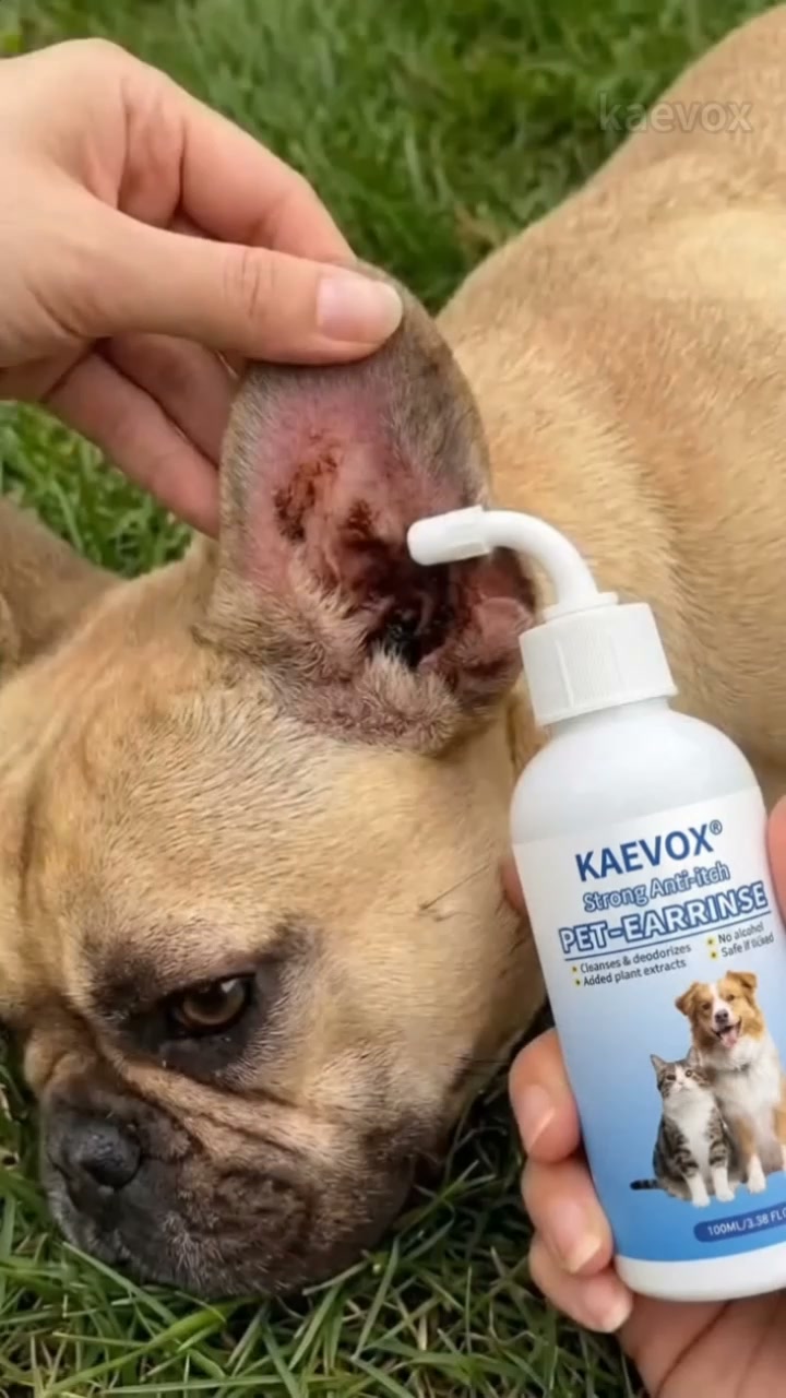 Gentle Ear Care for Happier Pets