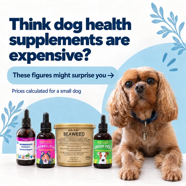 Natural Dog Supplements for Less