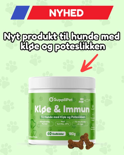 Hjælp Din Hund I Dag