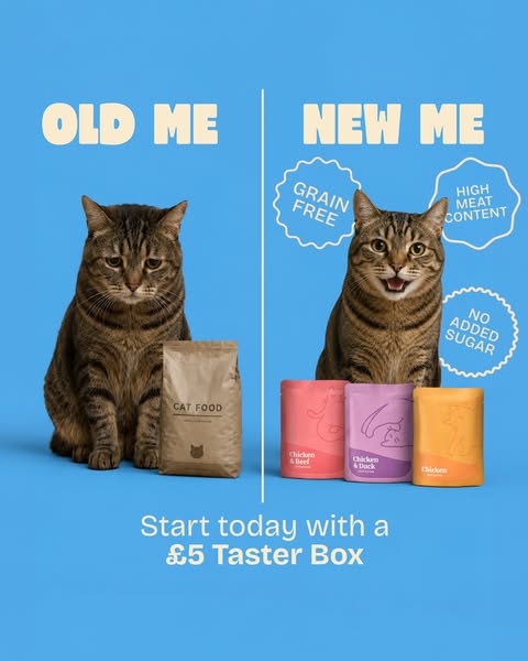 Over 10,000+ happy cats!