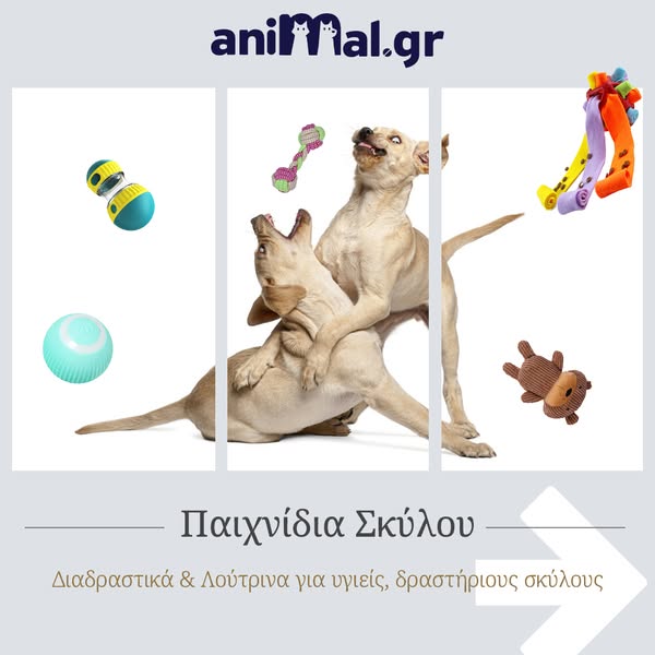 Παιχνίδια Σκύλου