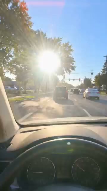 Bright Sun by Day. Headlight Glare by Night. One Clever Solution!
