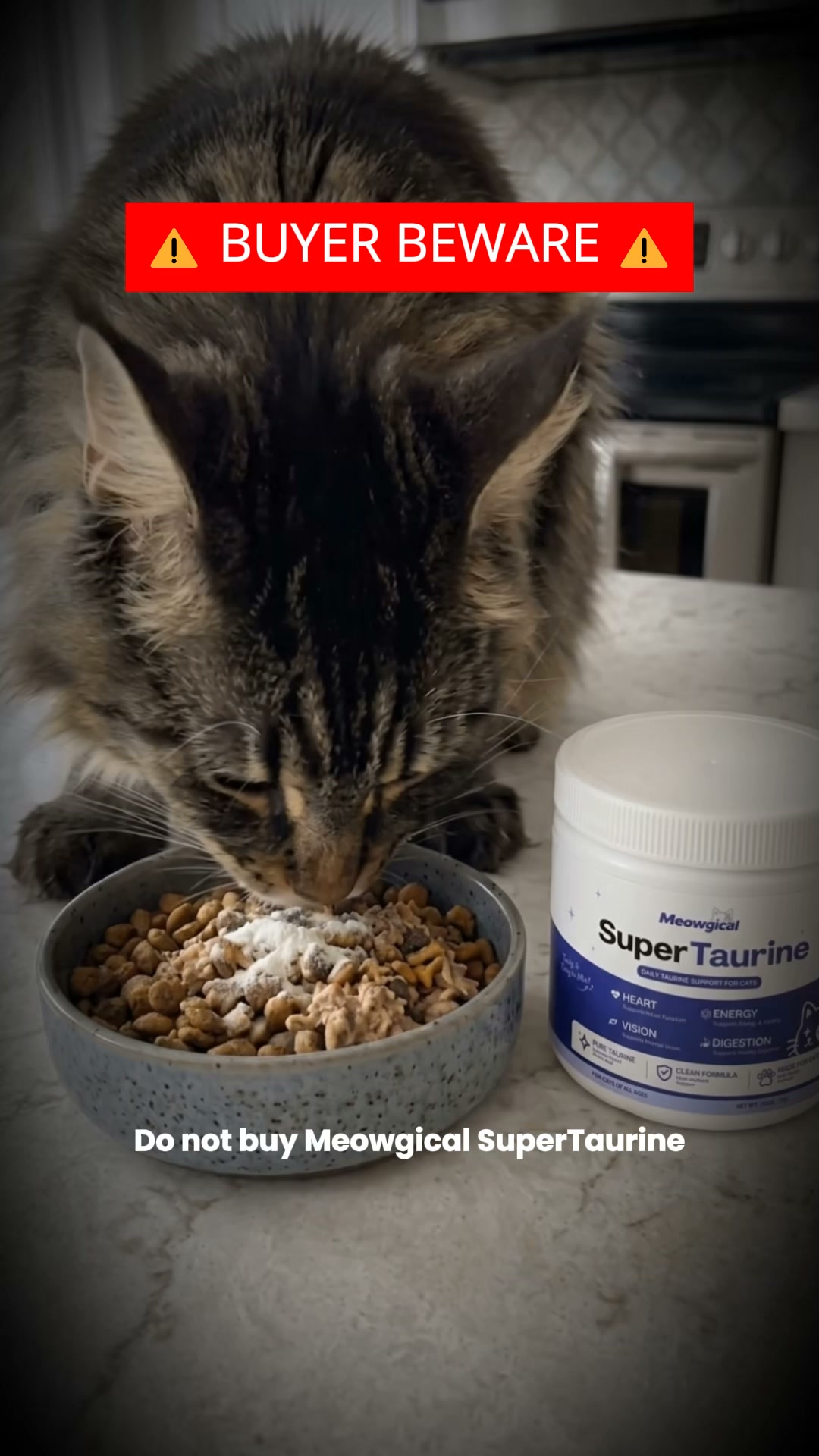 Help your cat feel themselves again