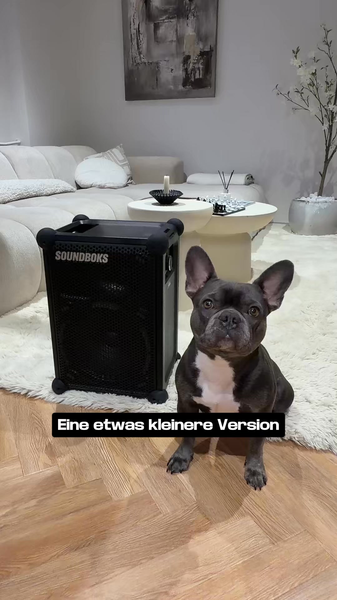 Soundboks Mix