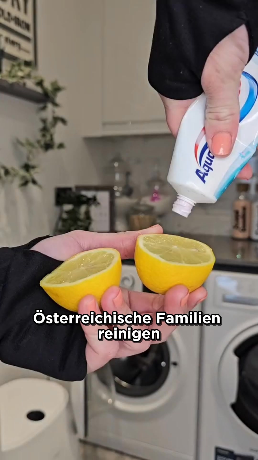 Natürlich sauber seit 1995