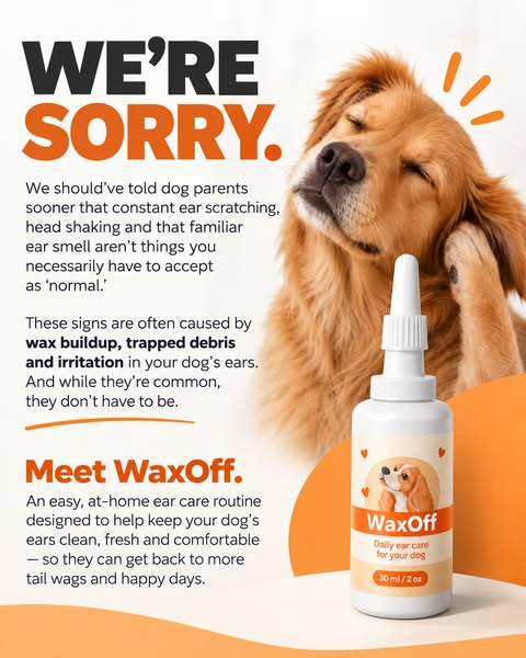 We’re Sorry We Didn’t Tell Dog Parents Sooner