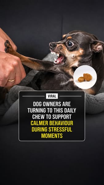 Help Them Handle Stress Better