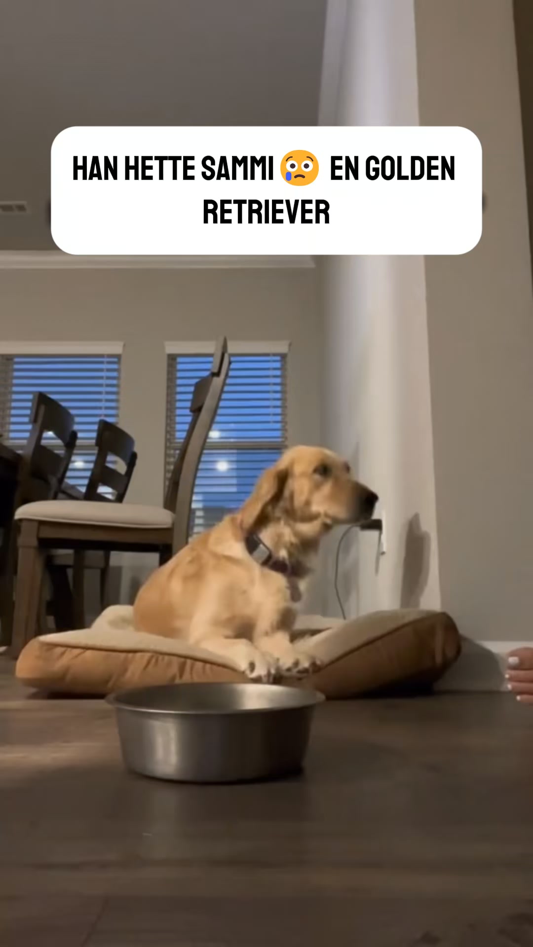Ledgodis som faktiskt funkar