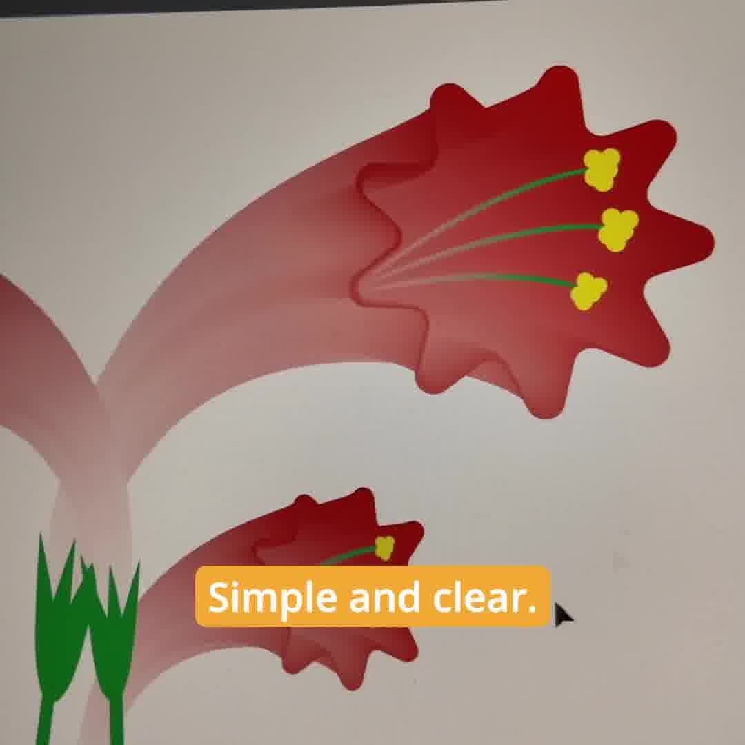 The Real Reason Beginners Struggle with Illustrator