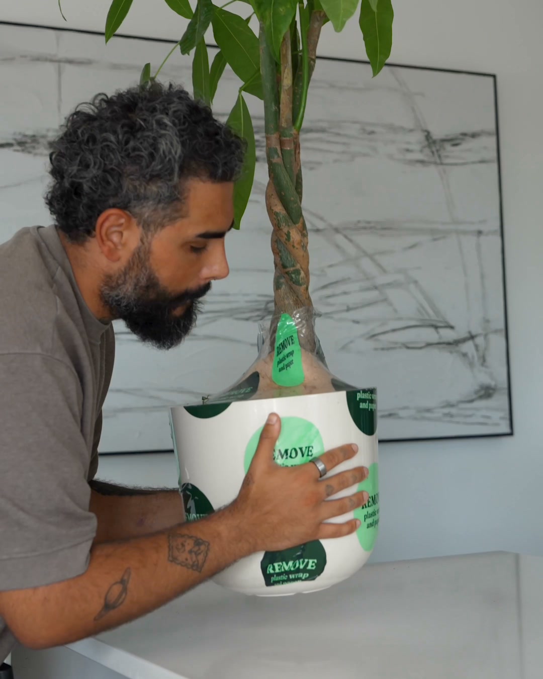 Des plantes qui s'arrosent toutes seules