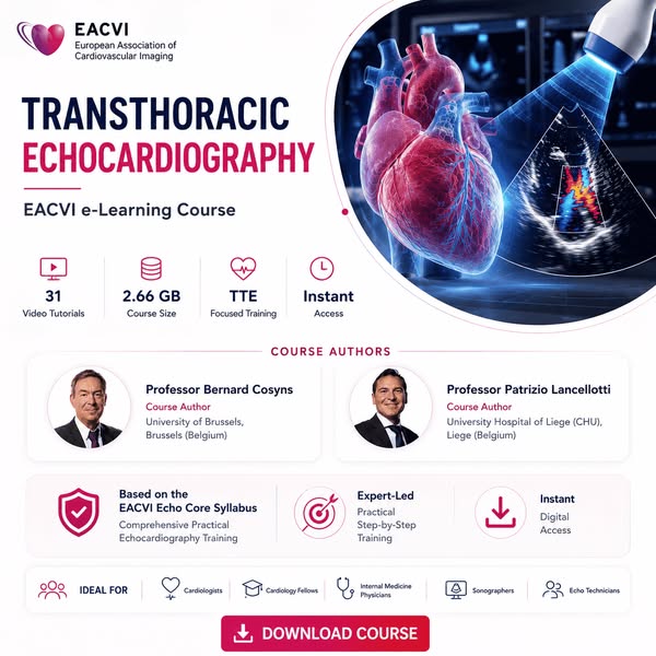 Echo Like a Pro: Learn Step-by-Step From Europe’s Experts