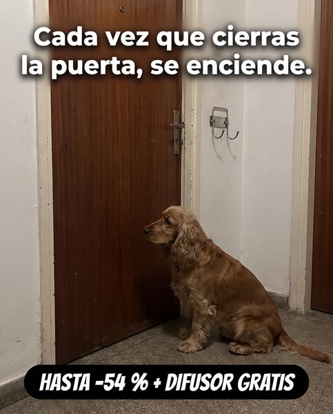 Hasta −54 % + difusor GRATIS