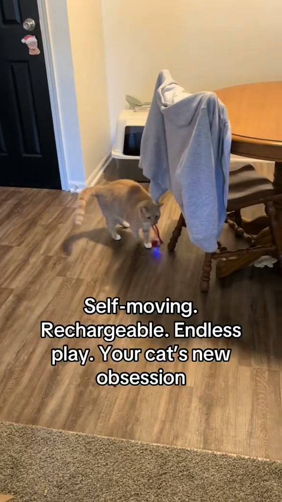 This Ball Drives Cats Wild
