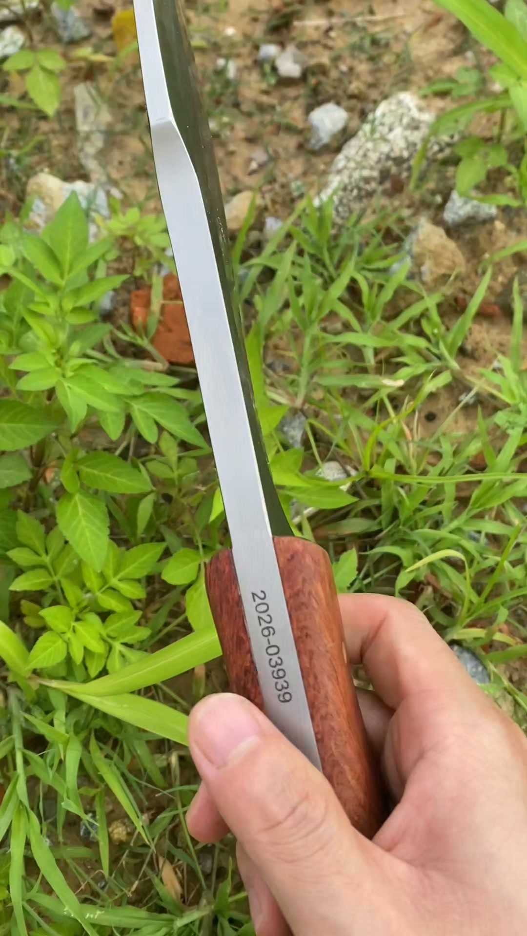 SUMMER SALE-6% OFF