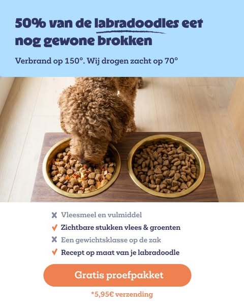 Gratis proefzak voor je labradoodle