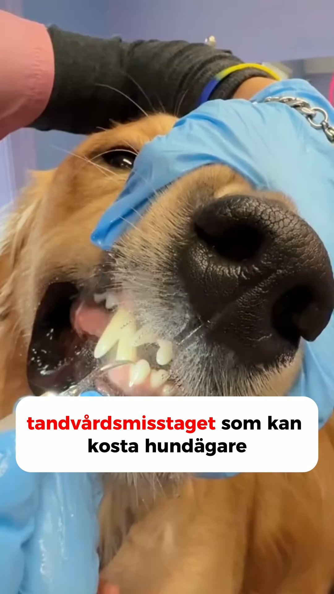 Betala senare med Klarna