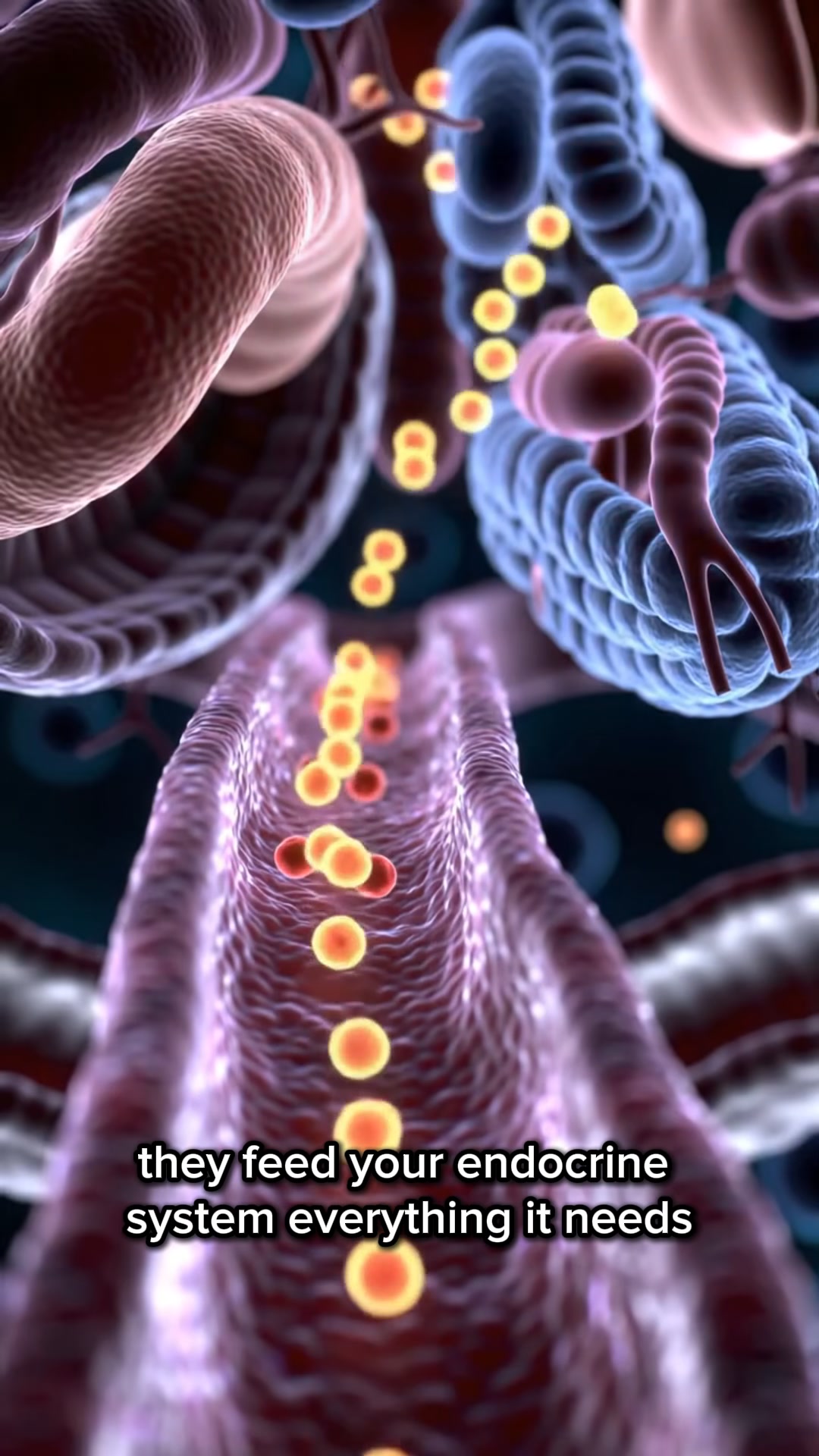 Fill The Nutrient Gap In Modern Diets