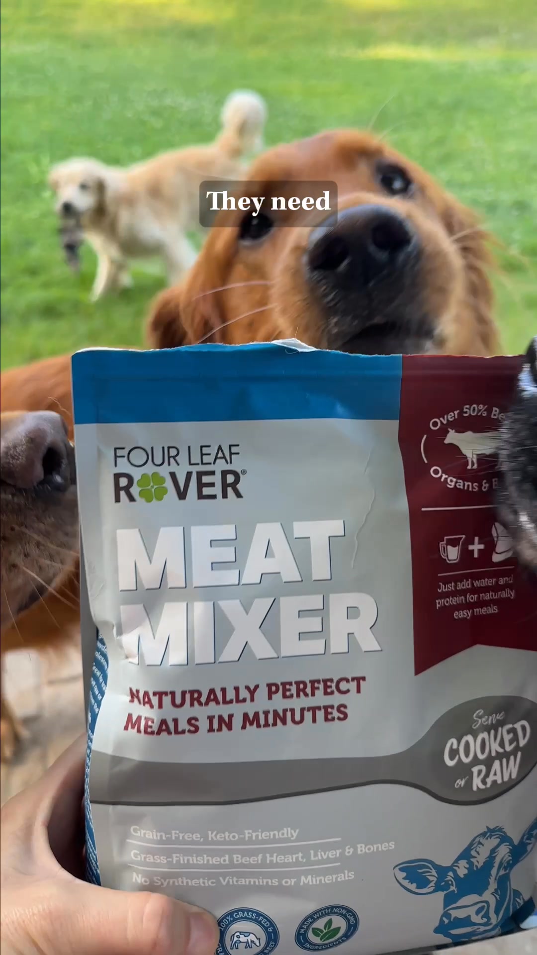 Want to make your dog’s food but not sure how to? Try this!!