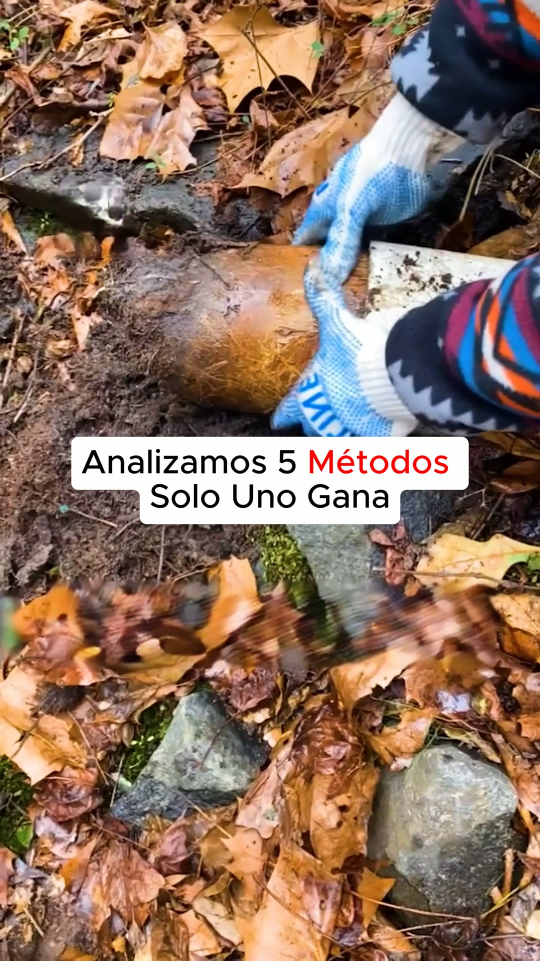 4 fallaron. Solo 1 desatascó